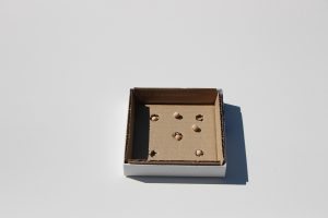 Petite boîte avec 5 cavités et des pois secs.