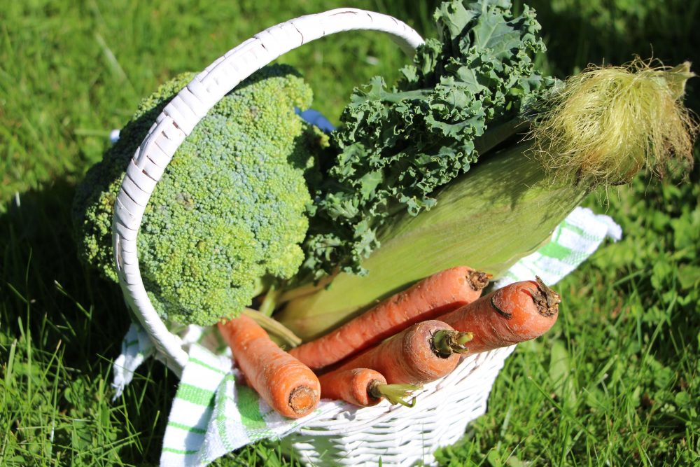 panier de légumes biologiques