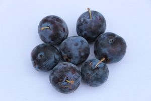 Prunes bleues avec leur couche blanche protectrice.